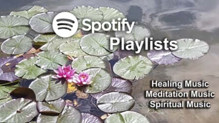 Spotify Playlists