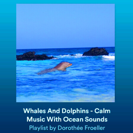 Relaxing oceanic music  on Spotify